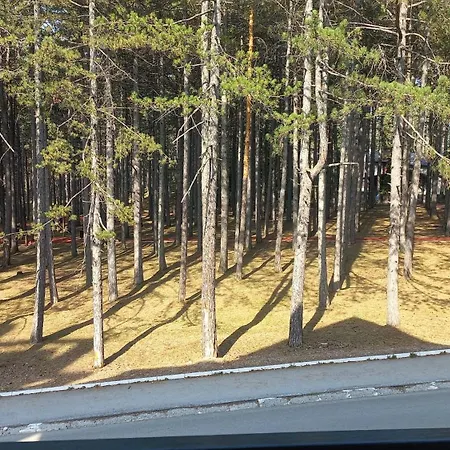 Apartment Devetka Zlatibor