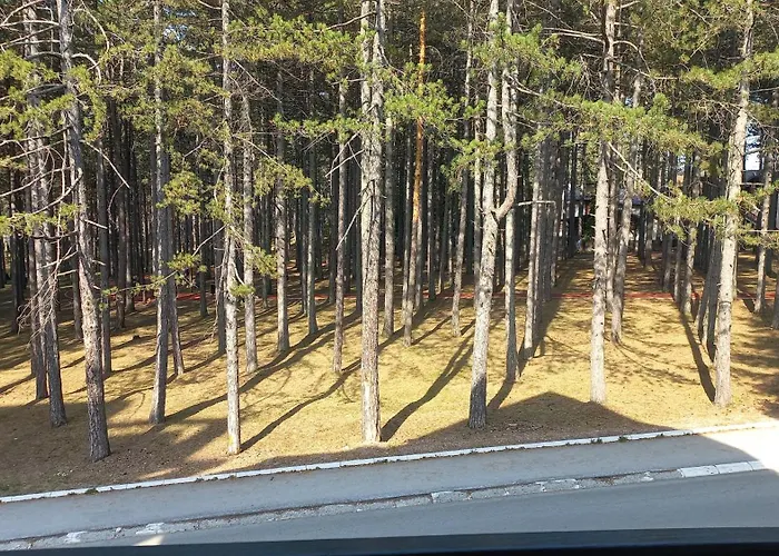 아파트 Devetka 즐라티보